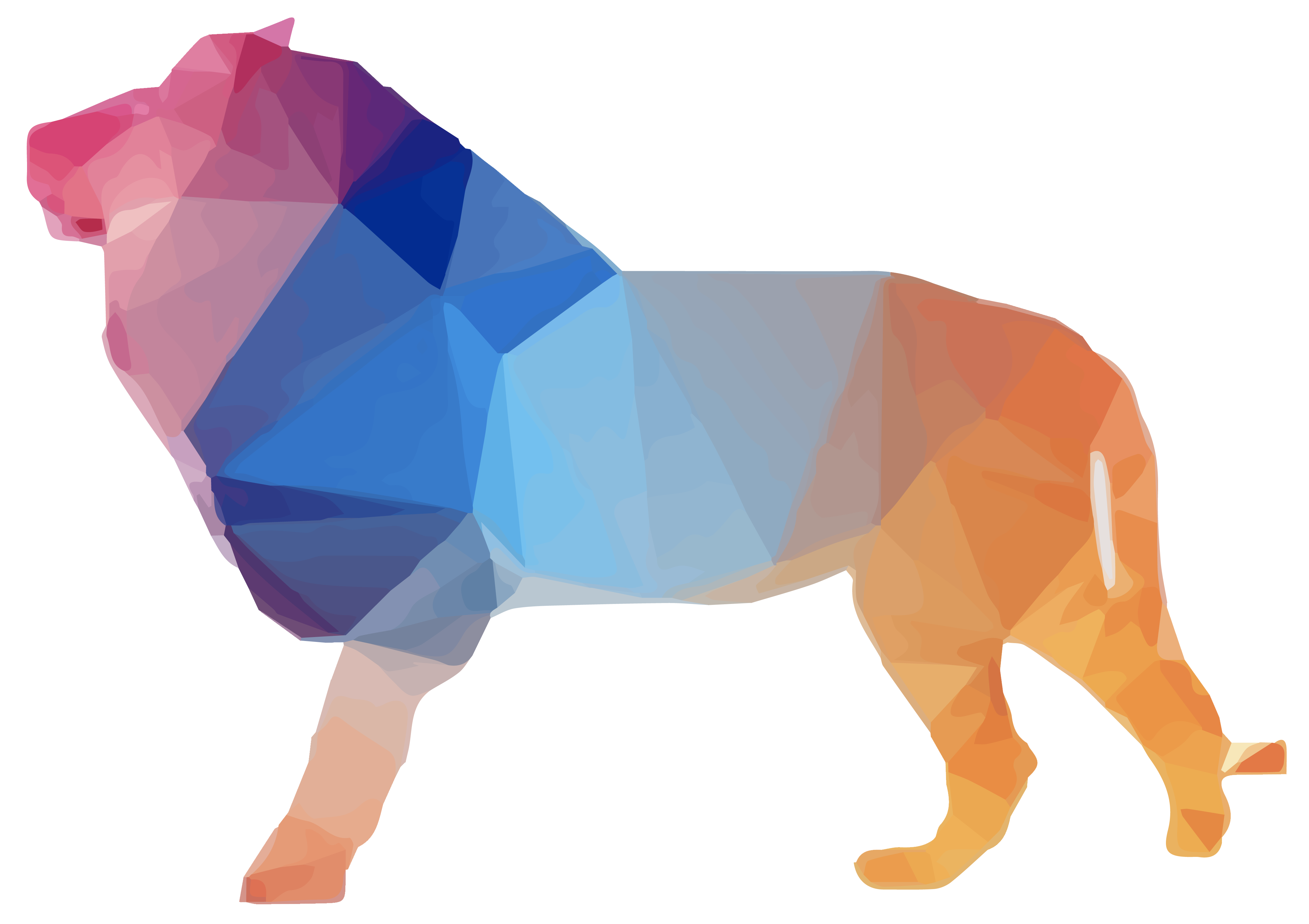 Liger Vector Art, Icons, and Graphics for Free Download