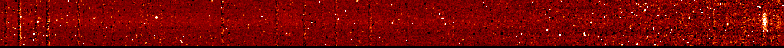 ms SPEC